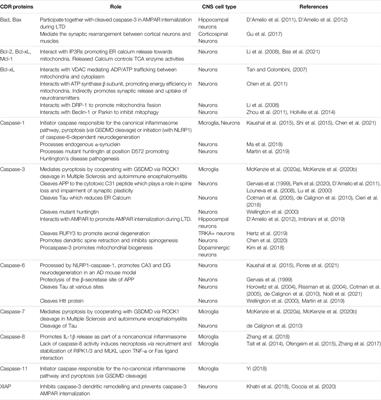 Cell Death Related Proteins Beyond Apoptosis in the CNS